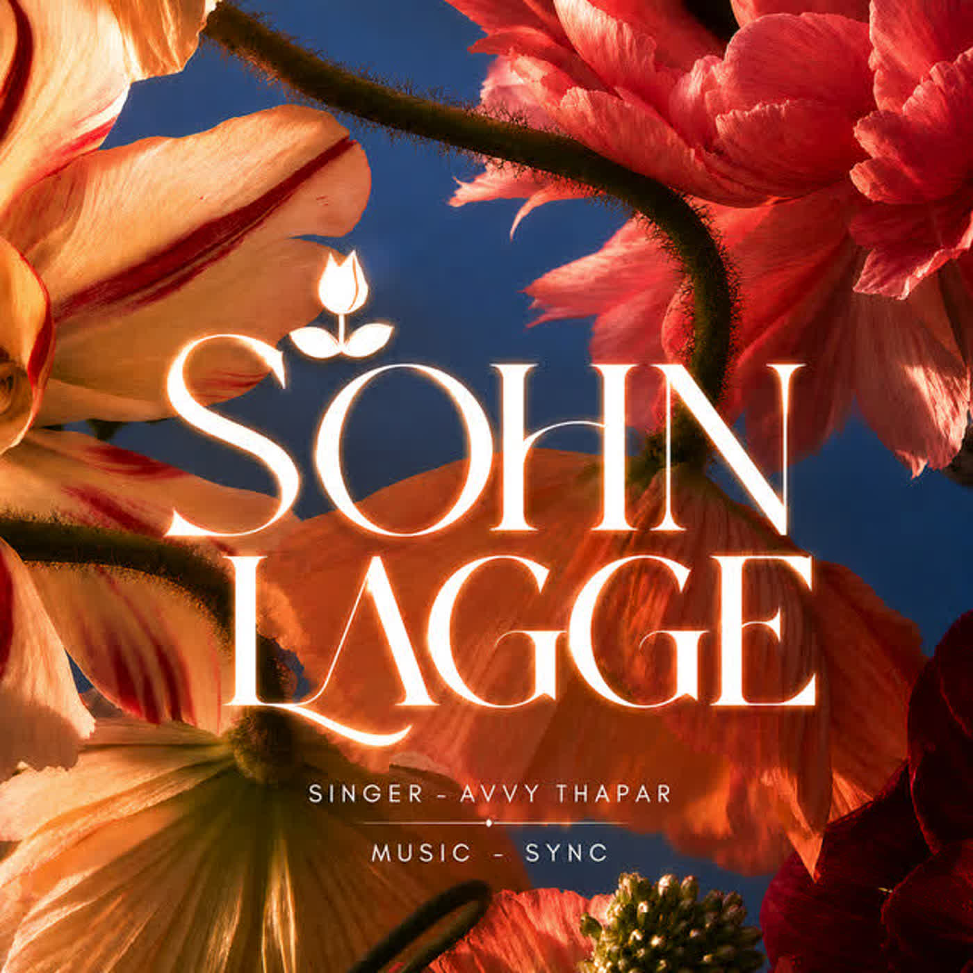 Sohn Lagge cover