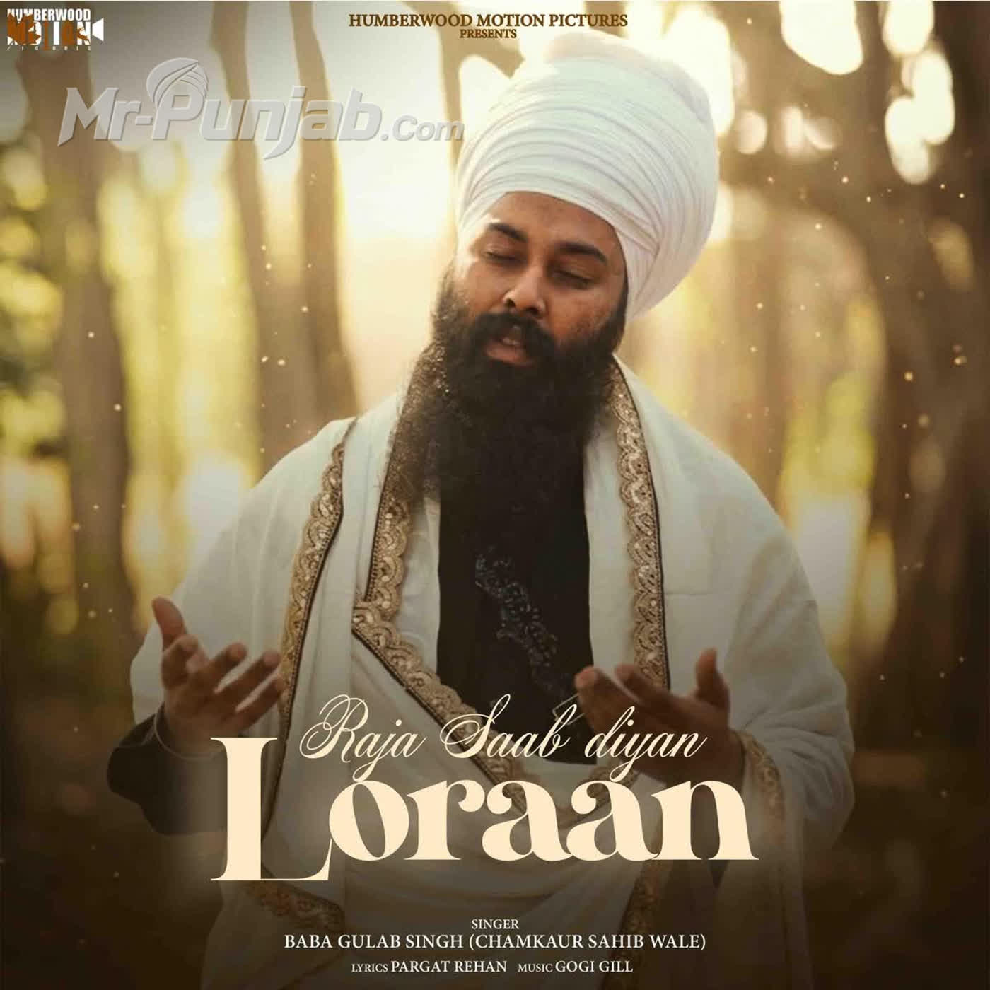 Raja Saab Diyan Loraan cover