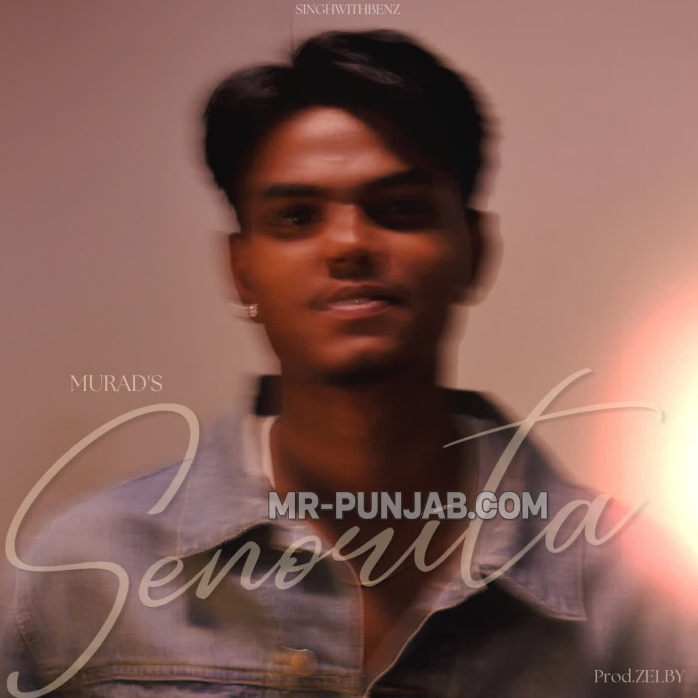 Senorita cover