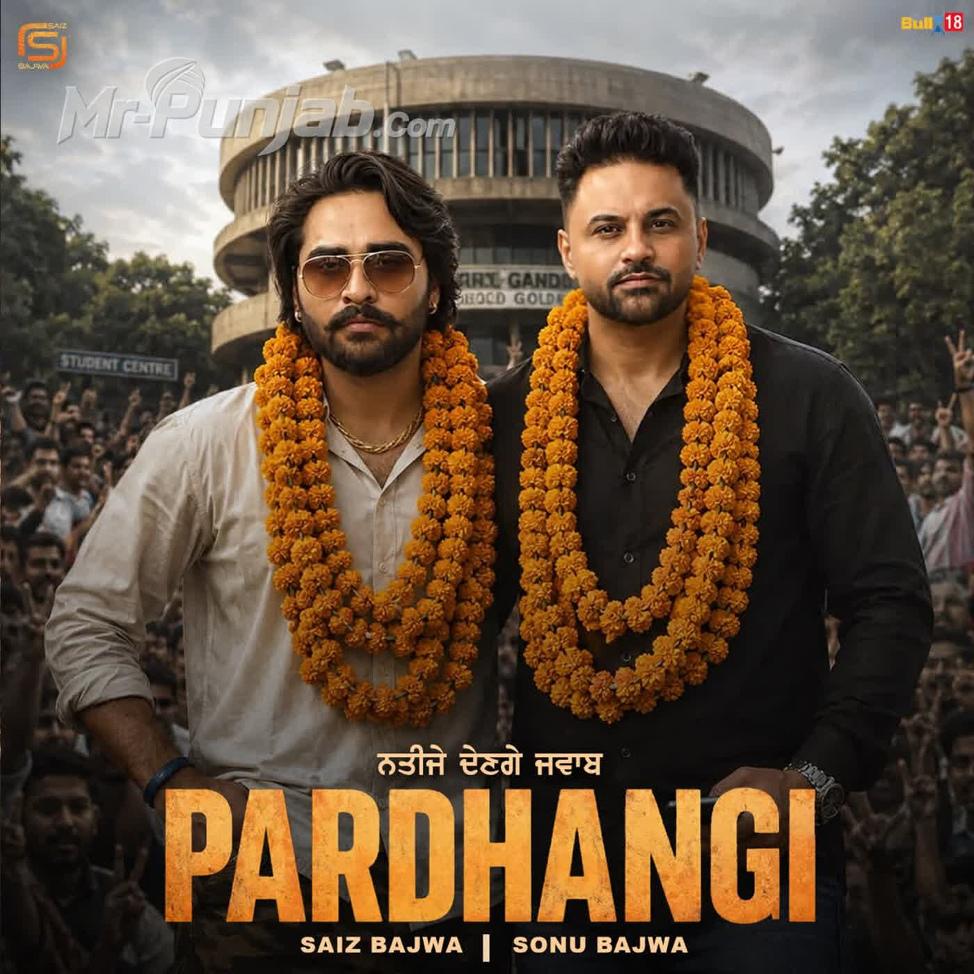 Pardhangi cover