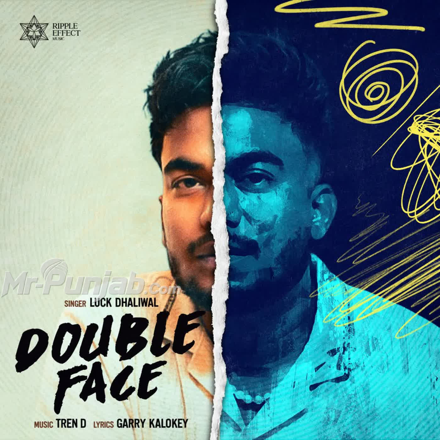 Double Face cover