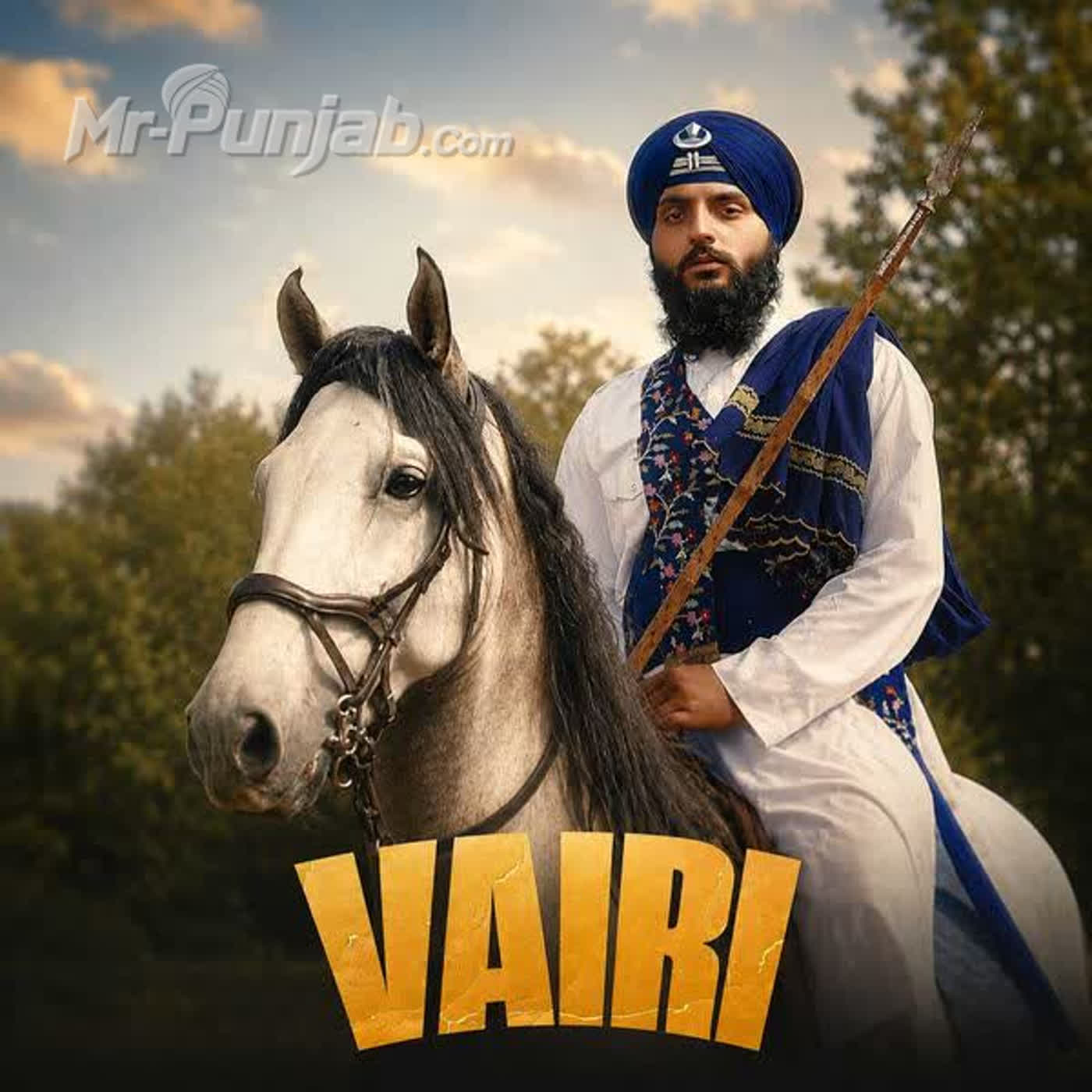 Vairi cover
