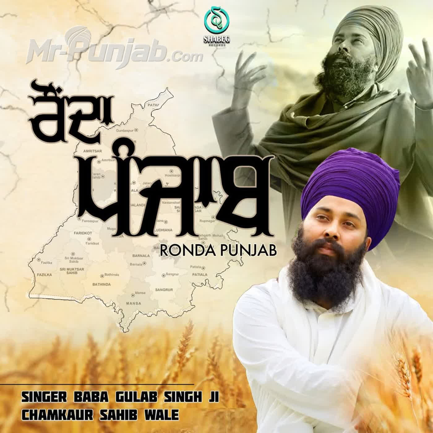 Ronda Punjab cover