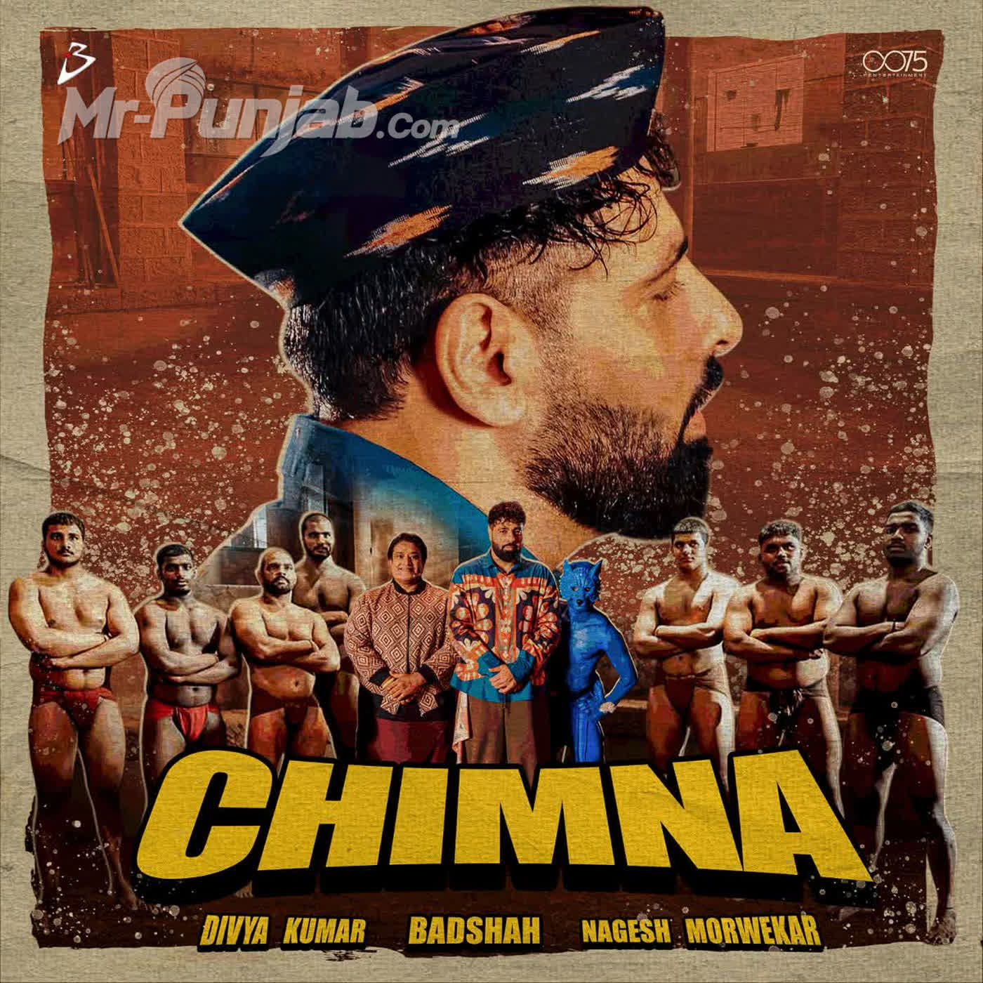 Chimna cover