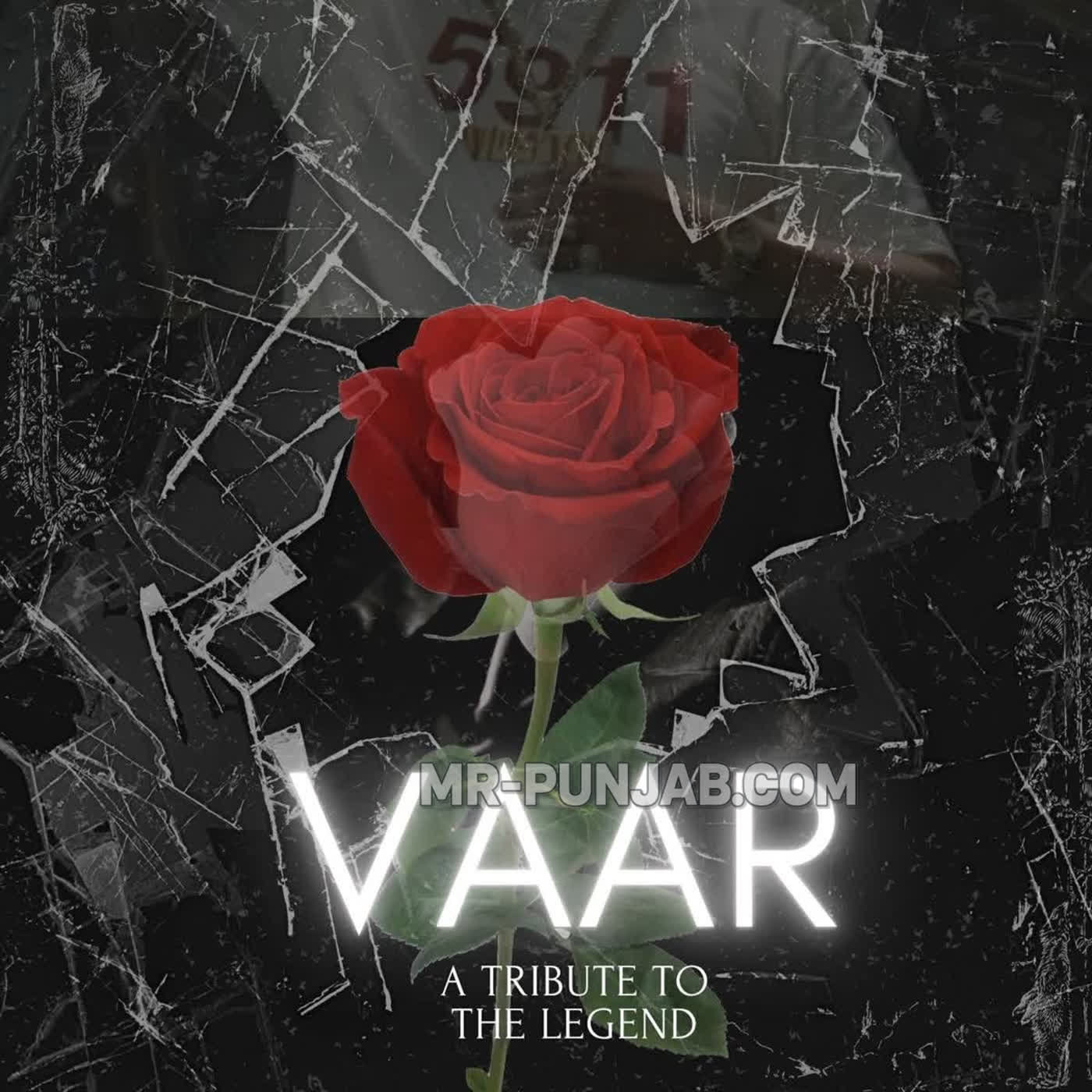 Vaar cover