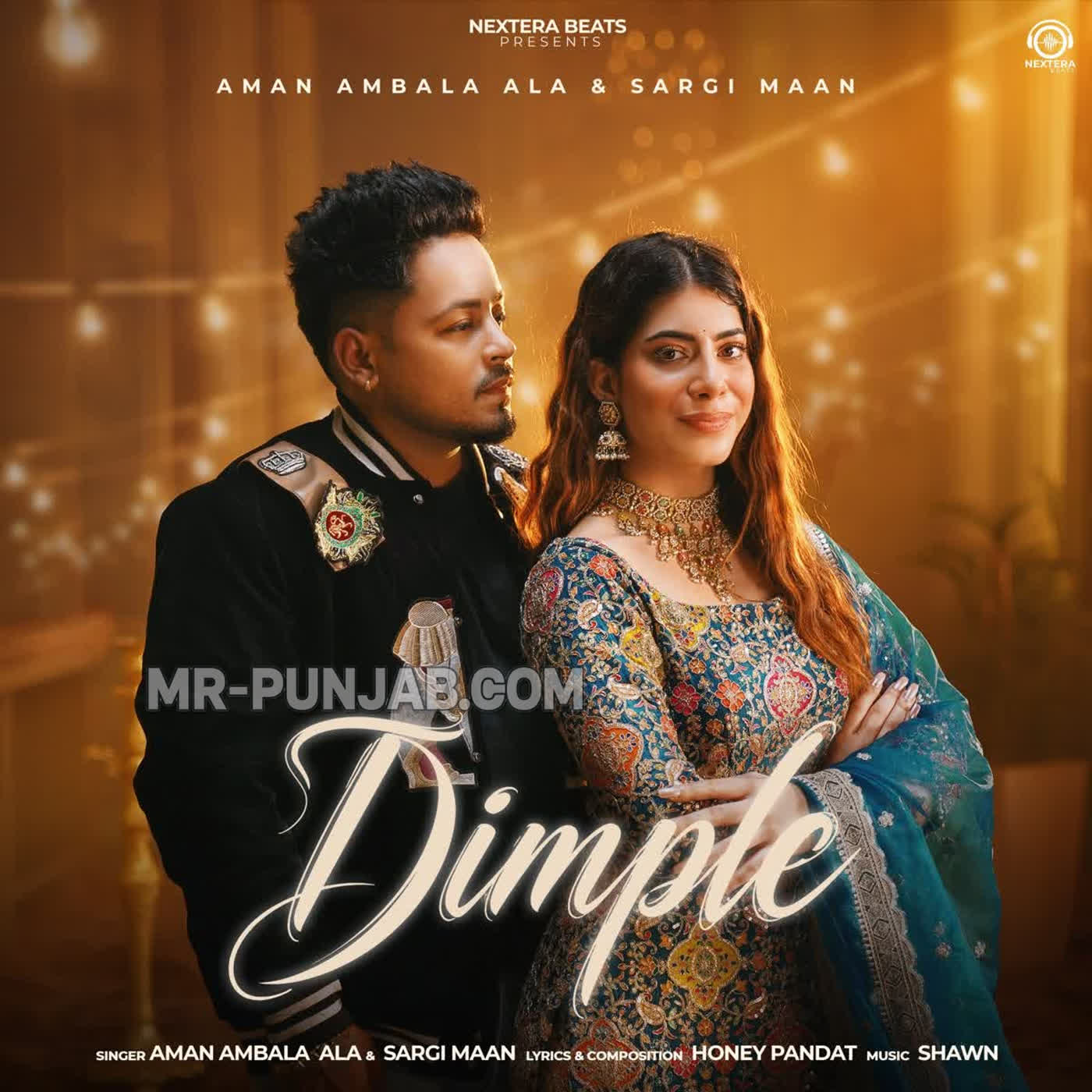 Dimple cover