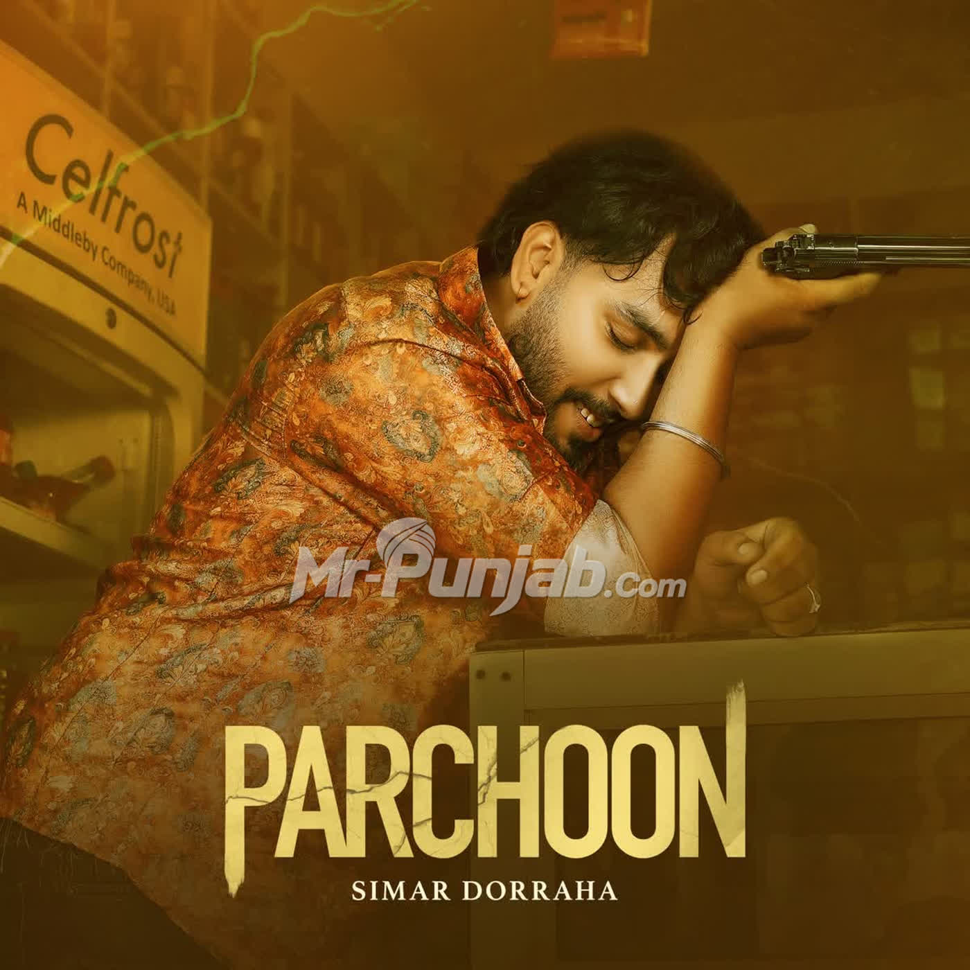 Parchoon cover